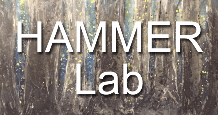 The HAMMER Lab - Dr. Joseph H. Hammer