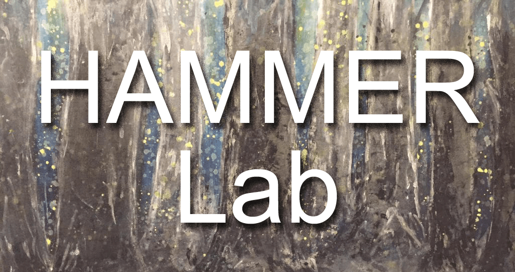 The HAMMER Lab - Dr. Joseph H. Hammer